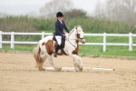 SBM_000671