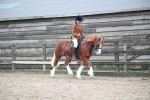 SBM_007335