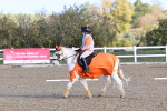 SBM_000448