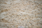 251004A-090052-00026