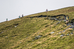 Bannerdale-40