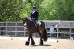 WJ6_0767