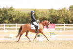 SBM_016907