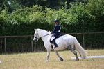 WJ6_3343