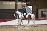 BPP_8628