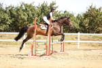 SBM_000344