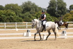 SBM_004217