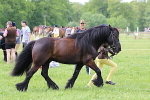 SIAL3368