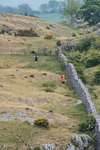 Hutton Roof-649