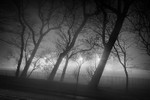 Night Lights 04