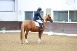 SBM_000454