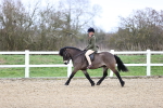 SBM_007446