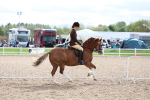 SBM_17532