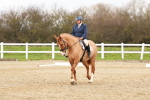 SBM_001607