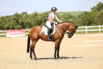 SBM_009175