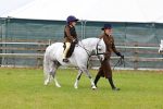 SBM_08275