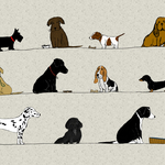 Dogs