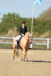 SBM_001877