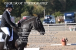 BPP_9397