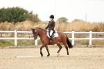 SBM_000630