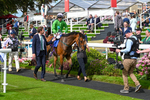 240824-Race 3-Breege-0626