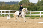 SBM_000175