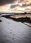 Foot prints 2810