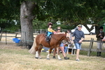 WJ6_4686