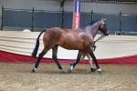 SBM_22286