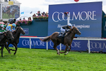 Race 4 15.35pm Coolmore City Of Troy Nunthorpe Stakes portfolio