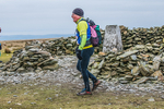 Black Combe-737