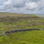Marsden