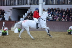 SBM_004593