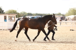 SBM_10470