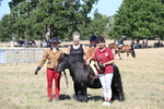 WJ6_8117