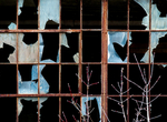APERTURE #12 - Brantford