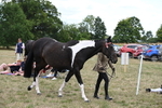 WJ6_5178