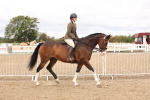 SBM_02797