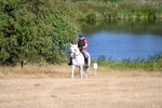 WJ6_7148