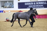 SBM_20923
