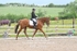 BPP_9334