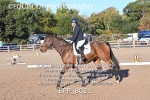 BPP_8021