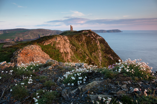 Bradda Head and Milner's tower with the foreground Sea Campion catching the evening light.