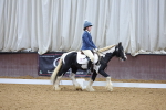 SBM_000216