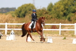 SBM_018319