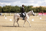 SBM_003504