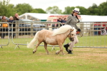 SBM_04445