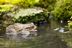20140405-3K8A0008
