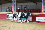 SBM_14886