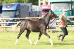 SBM_00716